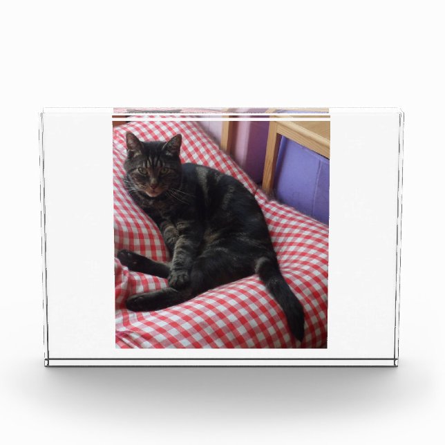 Niedlicher Dave-Akrylic-Foto-Block Fotoblock (Vorderseite)