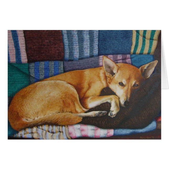 niedlicher deutscher Schäferhund (Vorderseite (Horizontal))