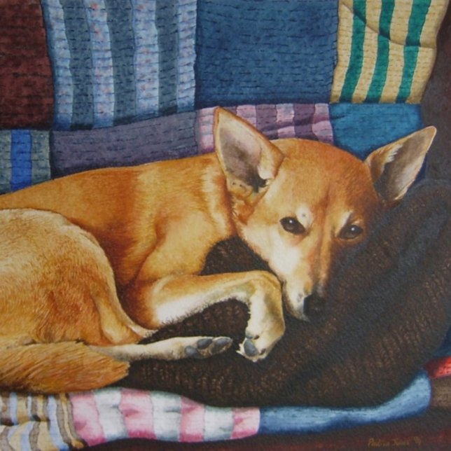 niedlicher deutscher Schäferhund (Von Creator hochgeladen)