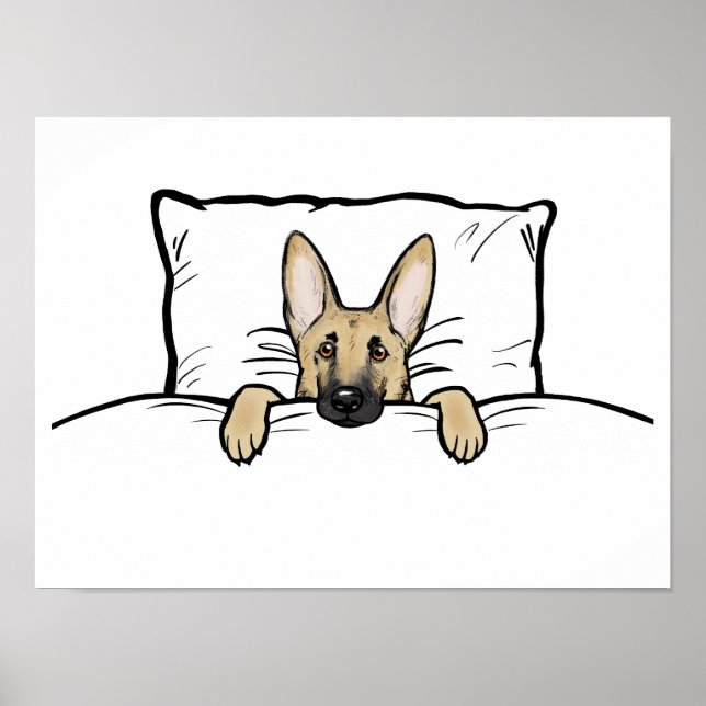 Niedlicher deutscher Schäferhund in Bett getuckt Poster (Vorne)