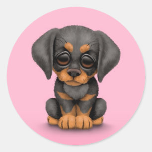 Niedlicher Dobermannpinscher-Welpen-Hund auf Rosa Runder Aufkleber