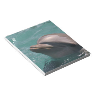 Niedlicher Dolphin Notepad Notizblock