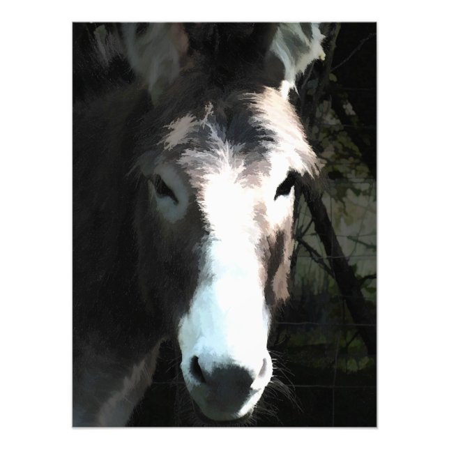 NIEDLICHER DONKEY FOTODRUCK (Vorne)