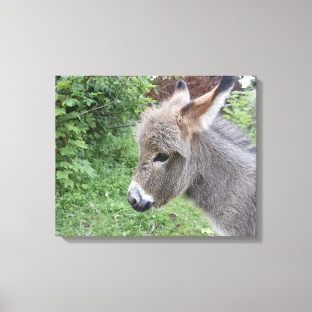 Niedlicher Donkey Leinwanddruck (Vorderseite)
