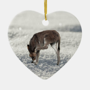 Niedlicher Donkey Stehend im Schnee Keramik Ornament