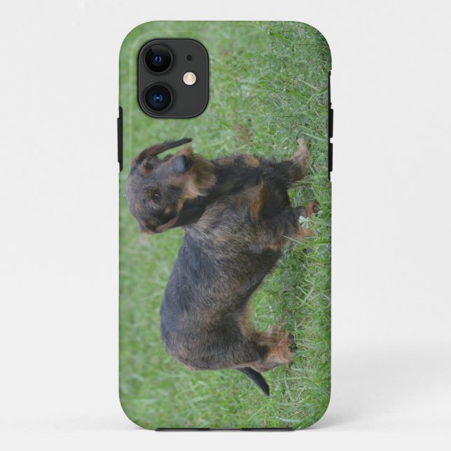 Niedlicher Draht-behaarte Dackel Case-Mate iPhone Hülle (Rückseite)