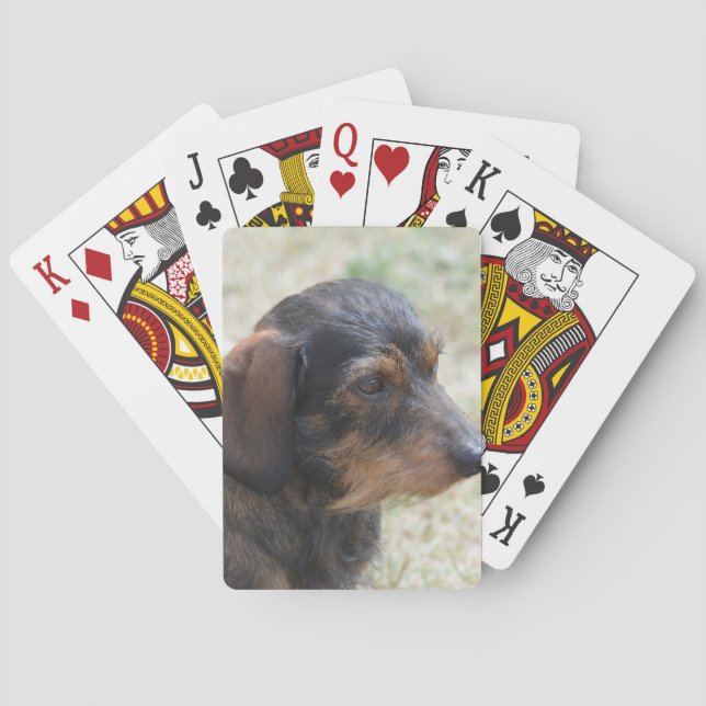 Niedlicher Draht behaartes Daschund Spielkarten (Rückseite)