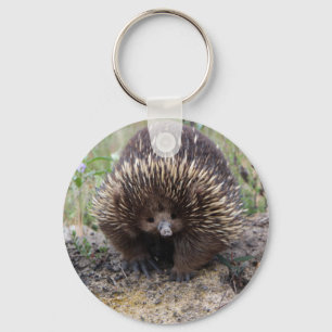 Niedlicher Echidna von Australien Schlüsselanhänger