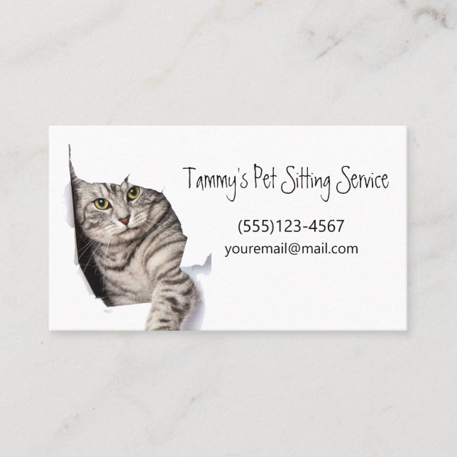Niedlicher, einzigartiger Cat Pet Sitting Service Visitenkarte (Vorderseite)