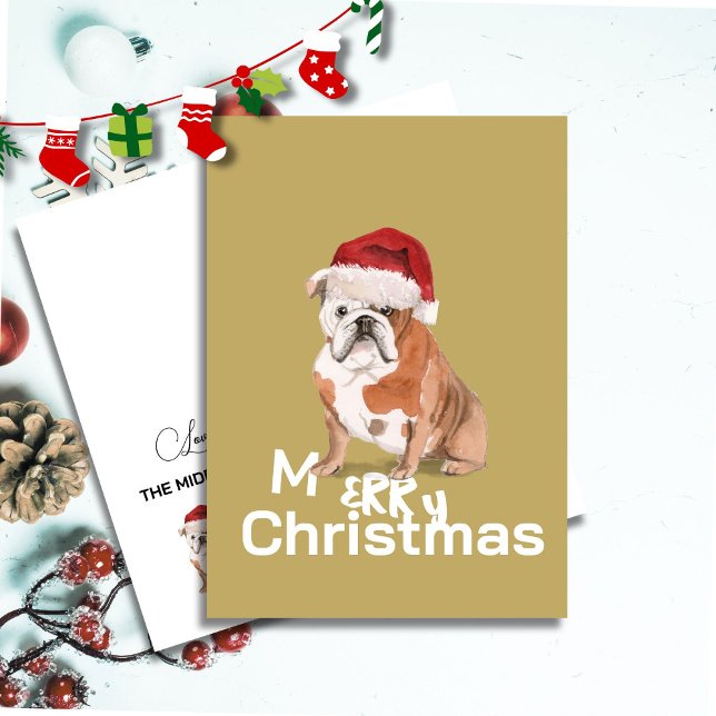 Niedlicher englischer Bulldog in Weihnachtsmannmüt (Von Creator hochgeladen)