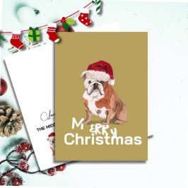 Niedlicher englischer Bulldog in Weihnachtsmannmüt