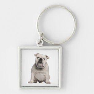 Niedlicher englischer Bulldog Welpen-Schlüsselanh Schlüsselanhänger