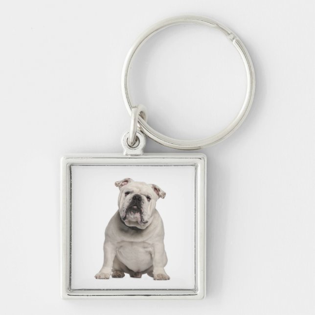 Niedlicher englischer Bulldog Welpen-Schlüsselanhä Schlüsselanhänger (Vorne)