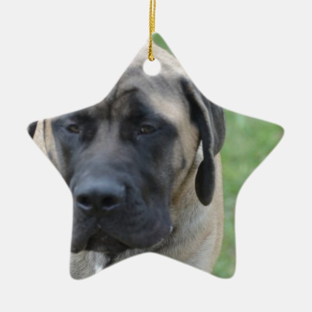 Niedlicher englischer Mastiff Keramikornament (Vorne)