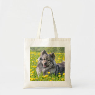 Niedlicher Eurasier Hund in einer Wiese blühende L Tragetasche