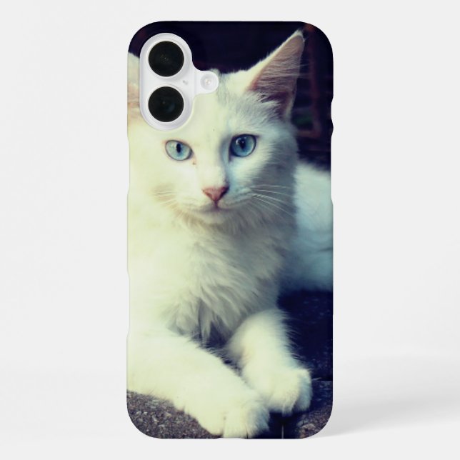 Niedlicher Fall iPhone 16 Plus Hülle (Rückseite)