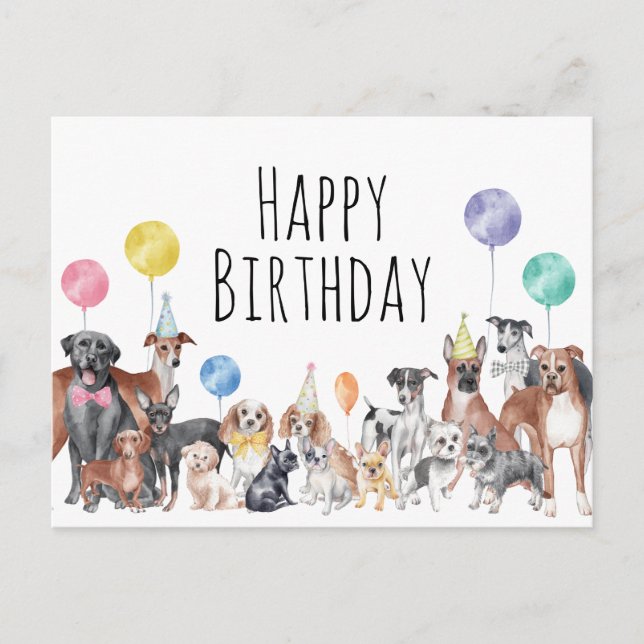 Niedlicher farbiger Hund zum Geburtstag Postkarte (Vorderseite)