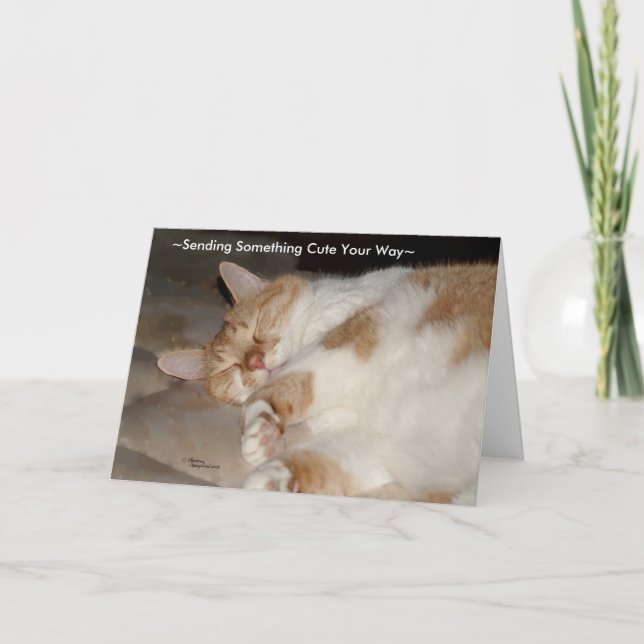 Niedlicher Fehler und Liebe, die Sie Cat Grußkarte Karte (Vorderseite)