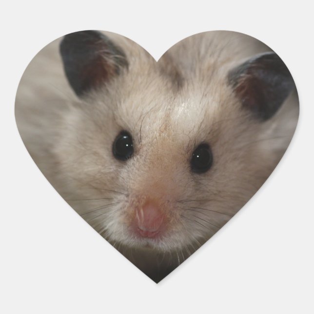 Niedlicher flaumiger Hamster Herz-Aufkleber (Vorderseite)