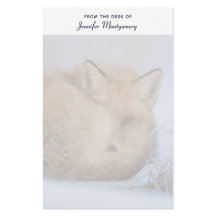Niedlicher Fox hat das Foto im Winter aufgerissen