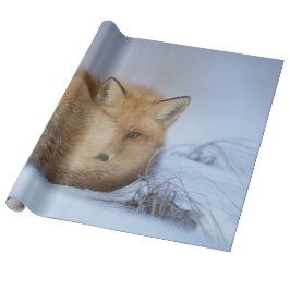 Niedlicher Fox hat das Foto im Winter aufgerissen Geschenkpapier