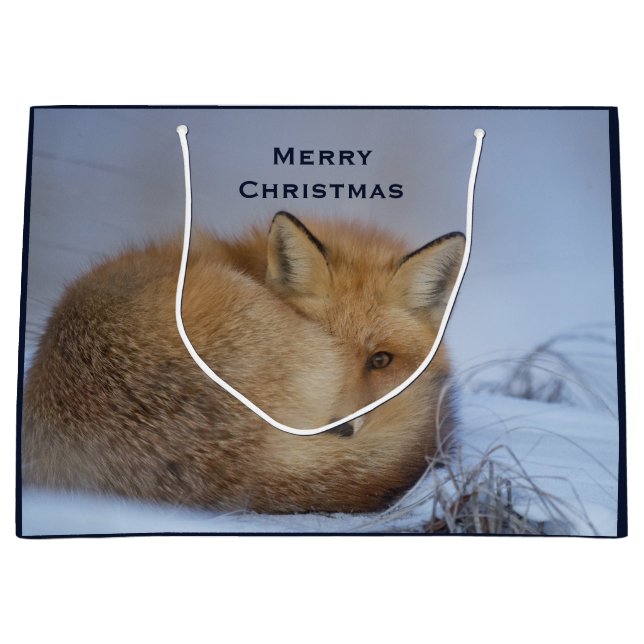 Niedlicher Fox hat das Foto im Winter aufgerissen Große Geschenktüte (Vorderseite)