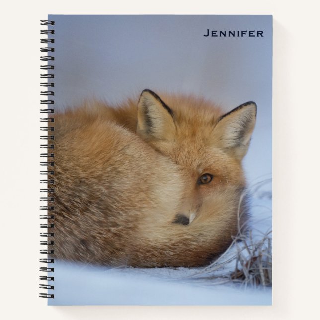 Niedlicher Fox hat das Foto im Winter aufgerissen Notizbuch (Vorderseite)