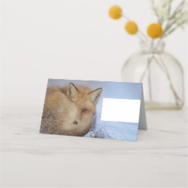Niedlicher Fox hat das Foto im Winter aufgerissen Platzkarte