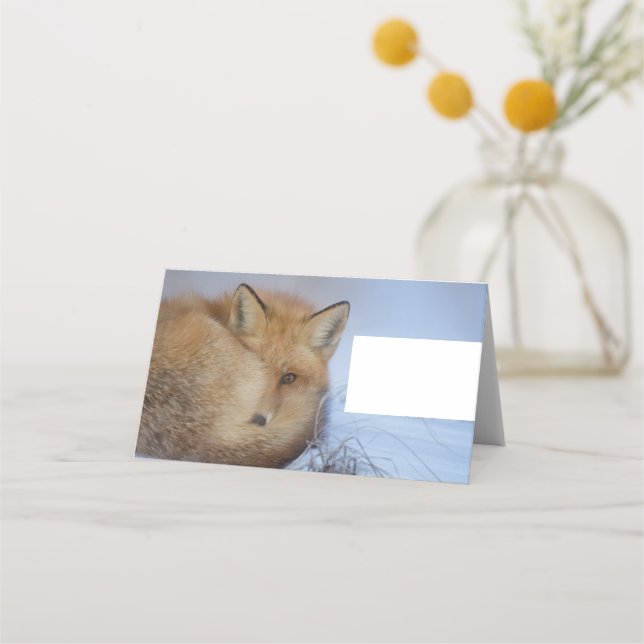 Niedlicher Fox hat das Foto im Winter aufgerissen Platzkarte (Vorderseite)