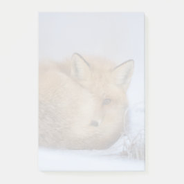 Niedlicher Fox hat das Foto im Winter aufgerissen Post-it Klebezettel