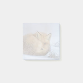 Niedlicher Fox hat das Foto im Winter aufgerissen Post-it Klebezettel