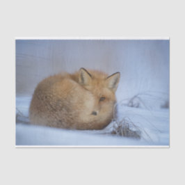 Niedlicher Fox hat das Foto im Winter aufgerissen Seidenpapier