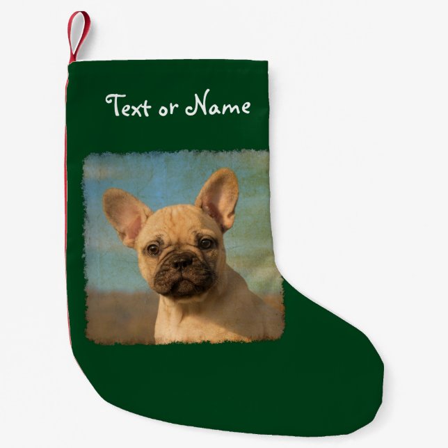 Niedlicher französische Bulldoggen-Welpe - Kleiner Weihnachtsstrumpf (Vorderseite)