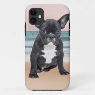 Niedlicher französischer Bulldog Beach title_seo2