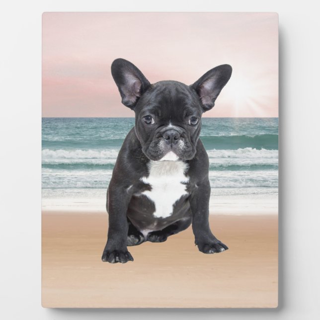 Niedlicher französischer Bulldog Beach Fotoplatte (Vorderseite)