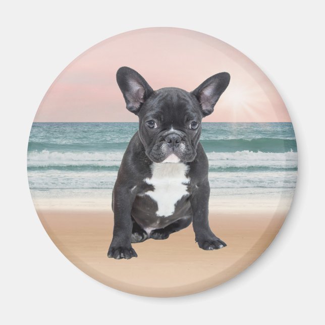 Niedlicher französischer Bulldog Beach Magnet (Vorne)