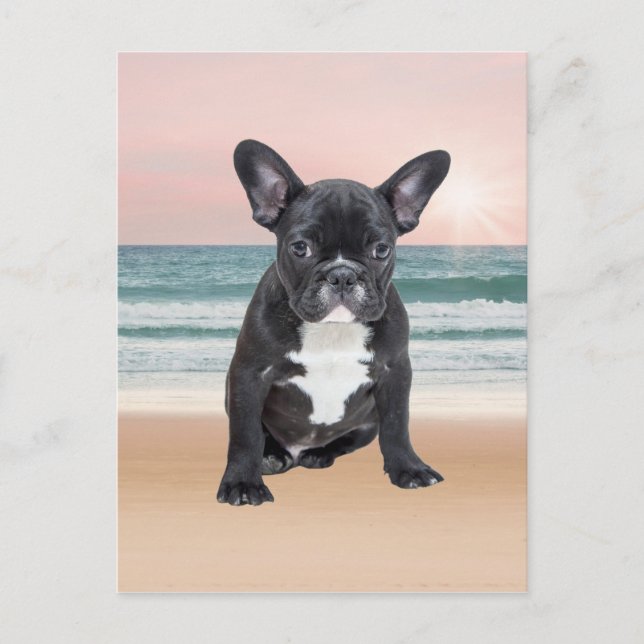 Niedlicher französischer Bulldog Beach Postkarte (Vorderseite)