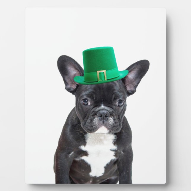 Niedlicher französischer Bulldog mit Hat St. Patri Fotoplatte (Vorderseite)