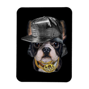 Niedlicher französischer Bulldog mit Hip Hop Rappe Magnet