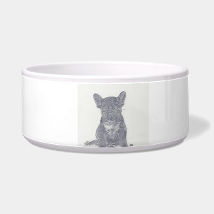 Niedlicher französischer Bulldog Napf