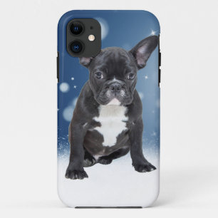 Niedlicher französischer Bulldog Snow Stars title_seo2