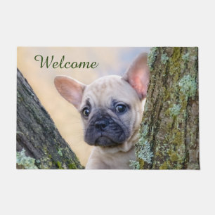 Niedlicher französischer Bulldog Welpe in einer Zw Fußmatte