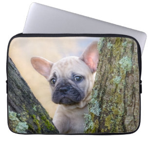 Niedlicher französischer Bulldog Welpe in einer Zw Laptopschutzhülle