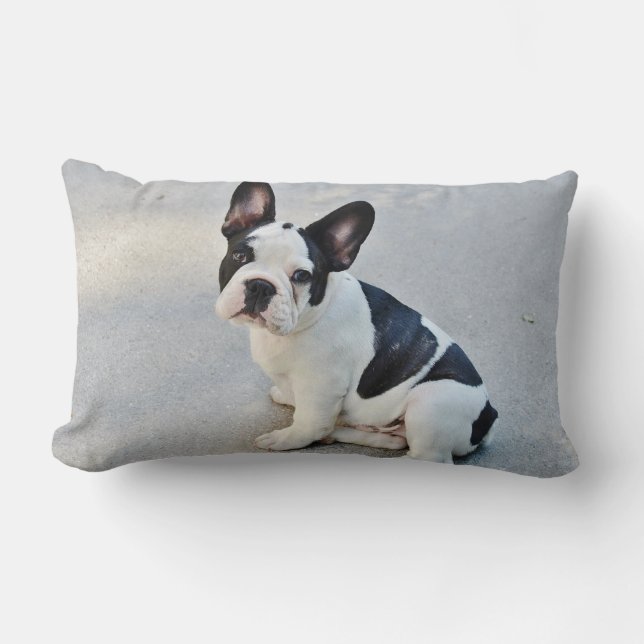 Niedlicher französischer Bulldog Welpe Schwarz-wei Lendenkissen (Vorderseite)