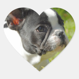 Niedlicher französischer Bulldogge auf Gras Herz-Aufkleber