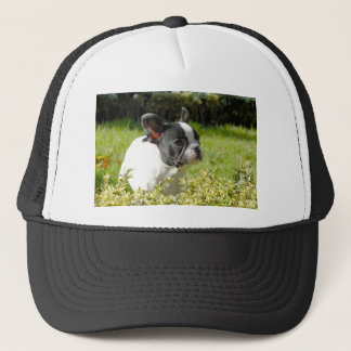Niedlicher französischer Bulldogge auf Gras Truckerkappe