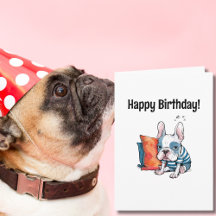 niedlicher französischer Hund, gekleidet, Tier, so