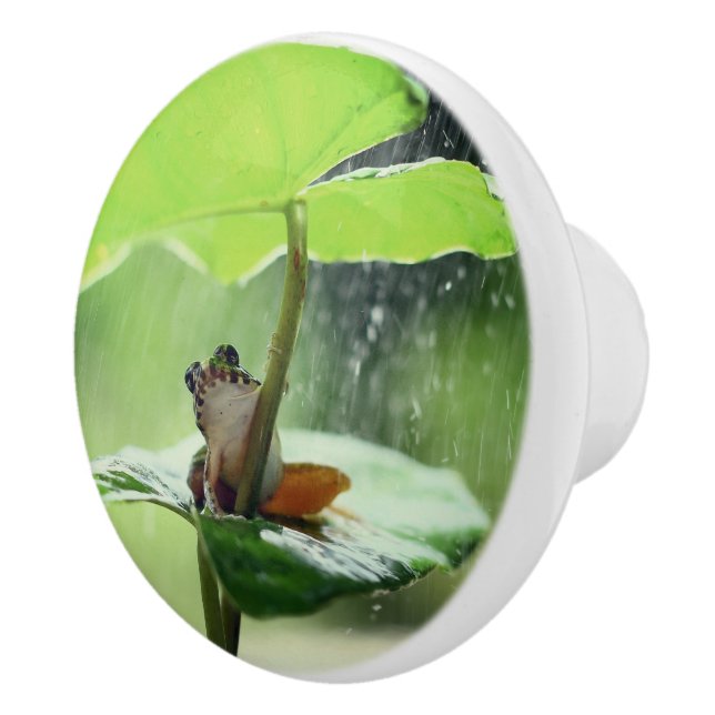 Niedlicher Frosch auf Lily Schöne Natur Keramikknauf (Rechts)