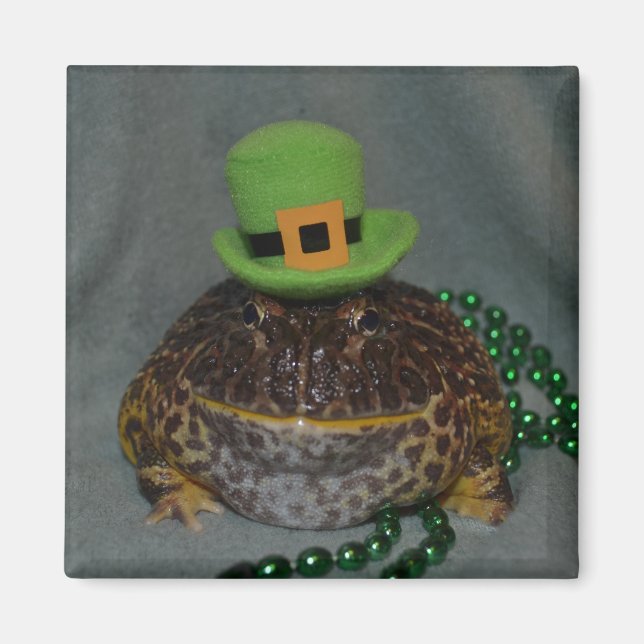 Niedlicher Frosch Magnet (Vorne)