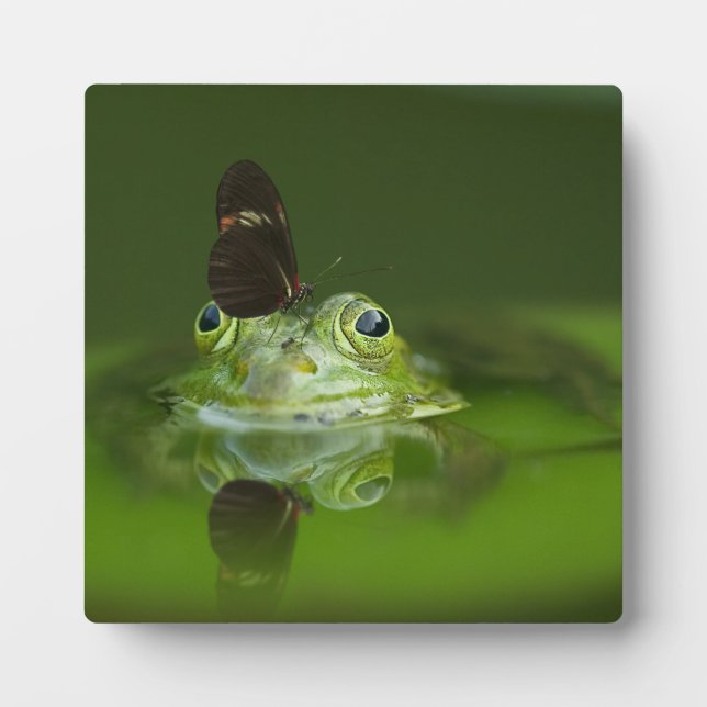 Niedlicher Frosch mit einem Schmetterling auf der  Fotoplatte (Vorderseite)